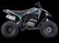 Preview: Kinder Quad Apollo Odjar Predator 250cc